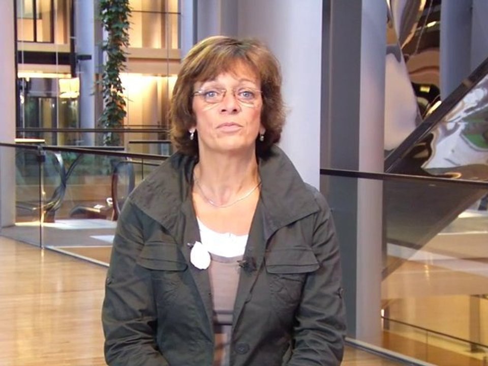 Compte-rendu de la session du Parlement européen, 11/2010