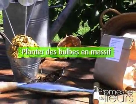 Bulbes à fleurs - Bien planter les bulbes sans se fatiguer