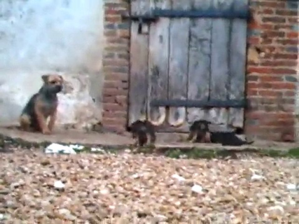 bébés de Victoria 29 11 2010