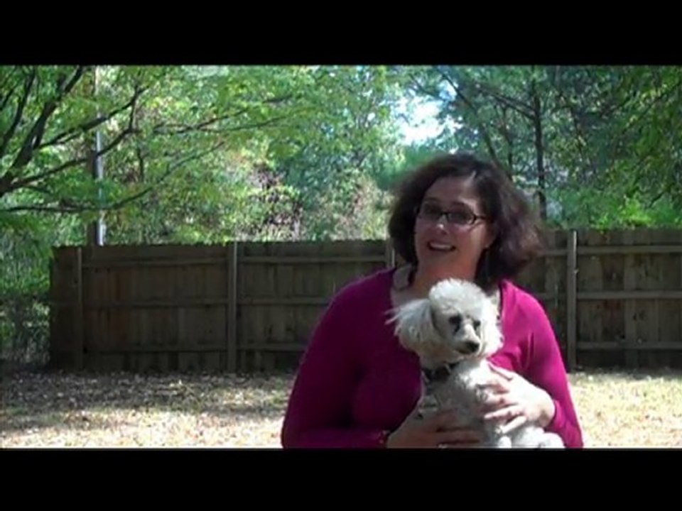 Mastermind Groups: Make it Happen So You Can Achieve Goals