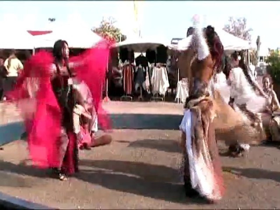 [Reportage] Les Féeries 2010