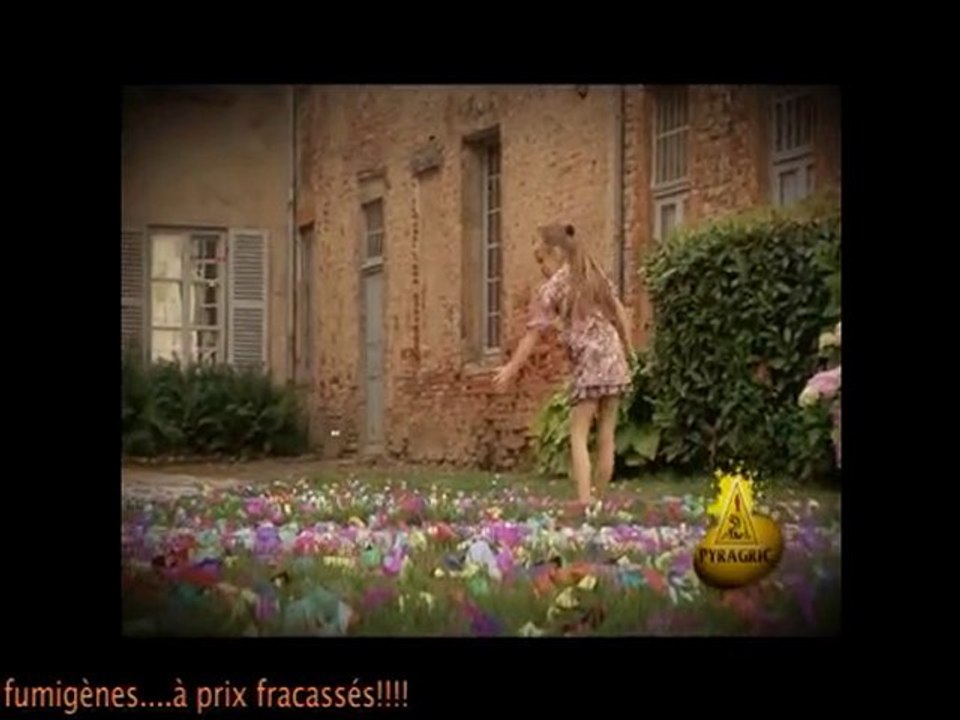 Feu d'artifice: Canon lance serpentins et confettis de Pyrag