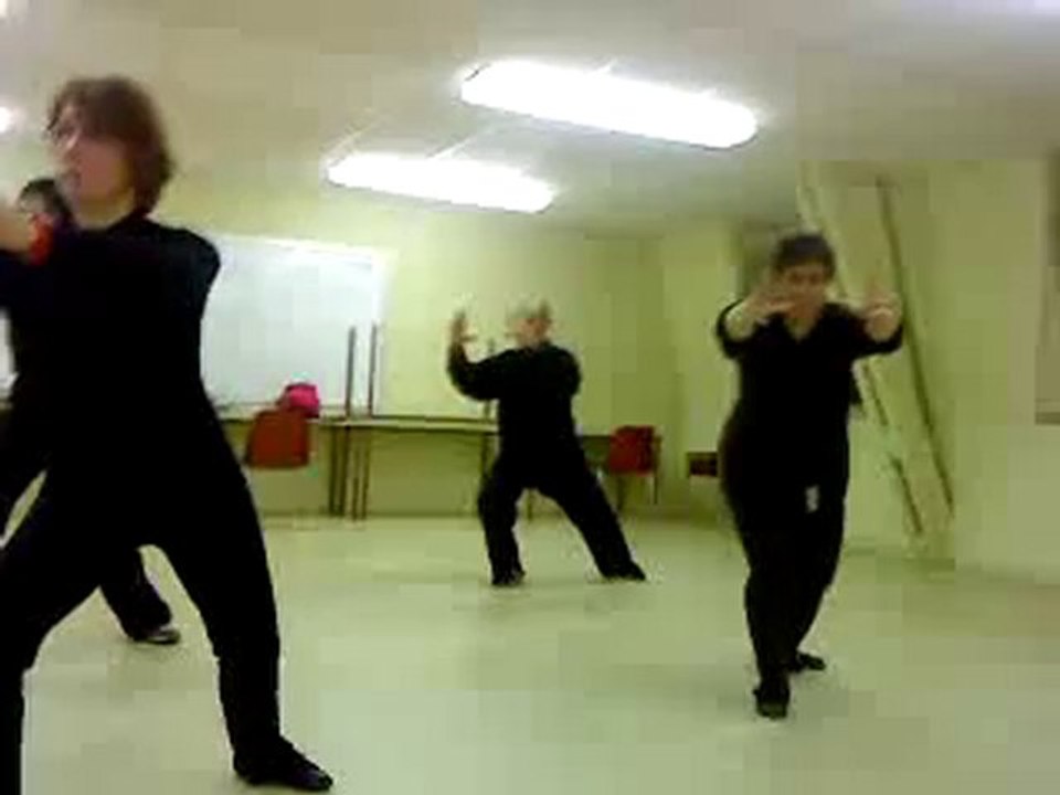 cours de tai chi a brive