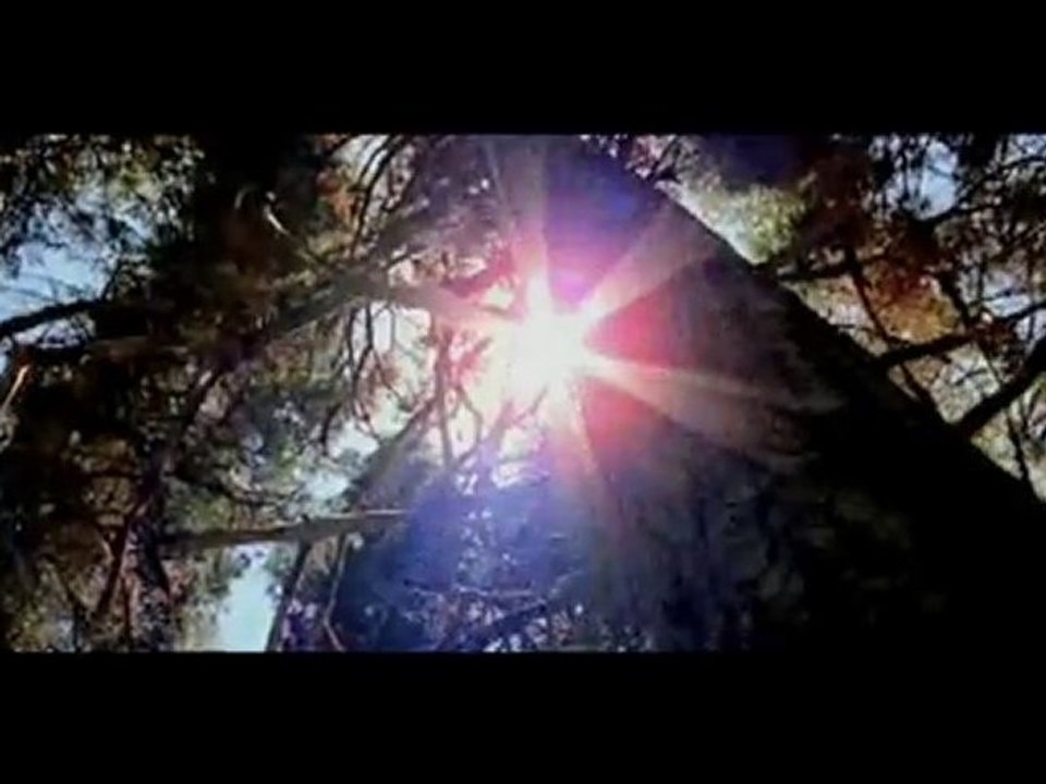 Daddy Mory-Proteger La Terre Mere