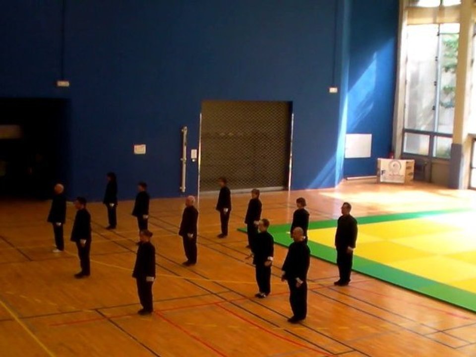 demo au festival des arts martiaux chinois a paris (juin2010
