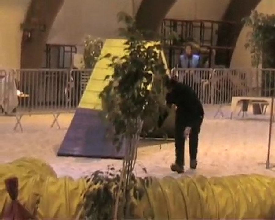 Vero Compiégne 1 (2010)