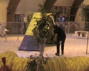 Vero Compiégne 1 (2010)