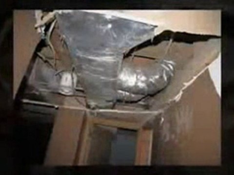 Mold Abatement Nashville