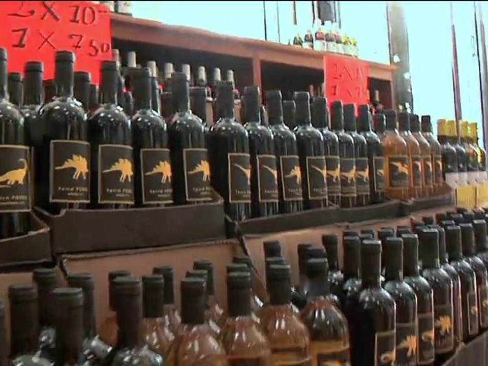 Terra Fossil @ Best Buy Wine in Brooklyn!