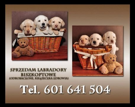 131 Emisja Poniedzialek 29.11.2010 cz1