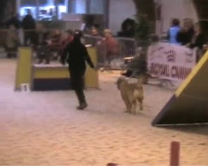 vero compiégne 3 (2010)