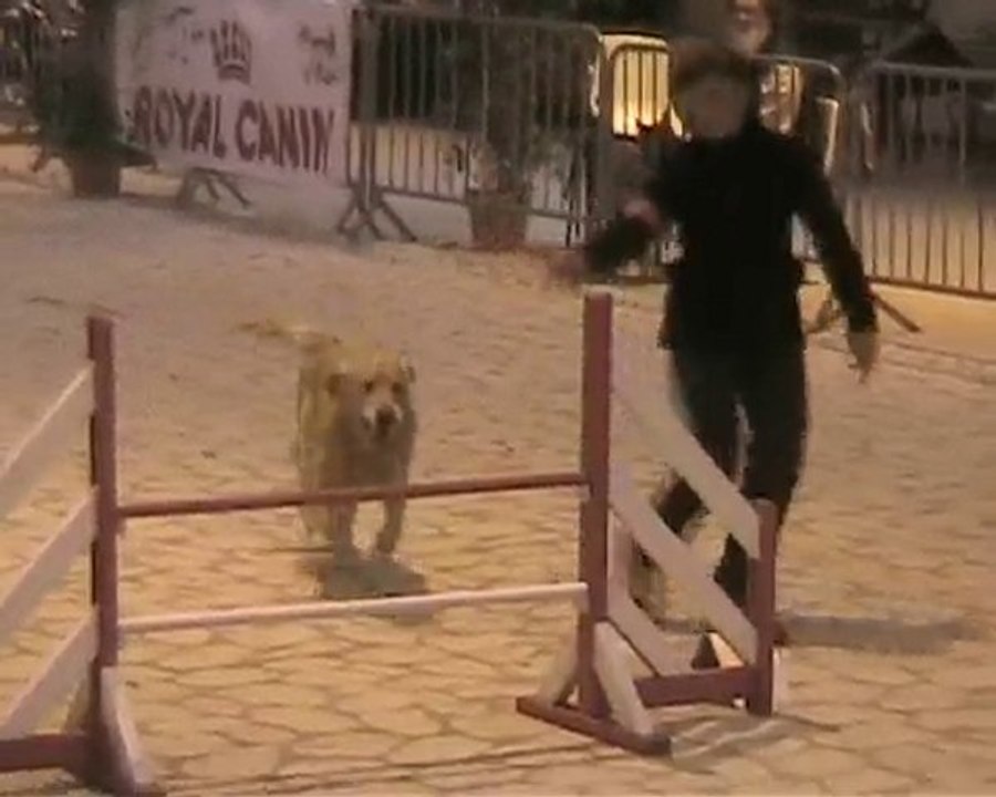 vero compiegne 4 (2010)