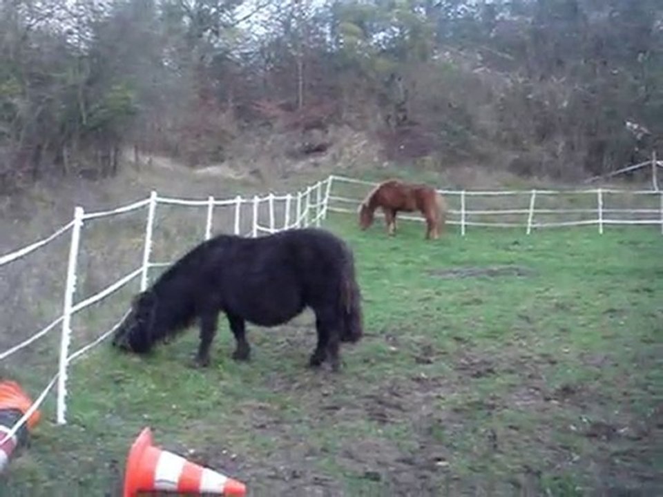 28 novembre 2010 mes amours