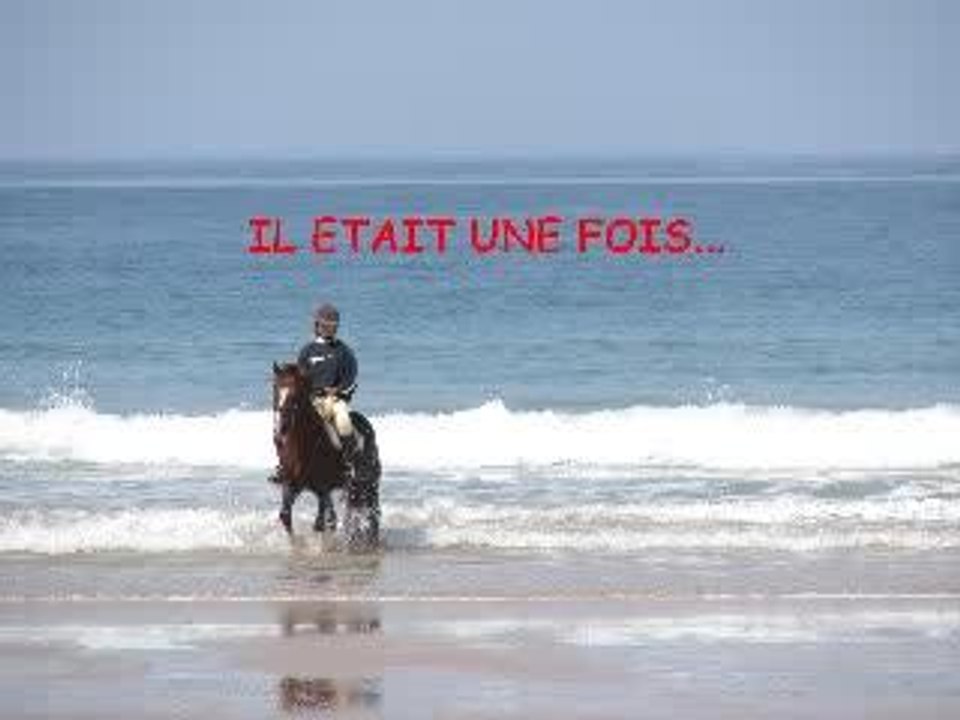 Fareneit herquetot...