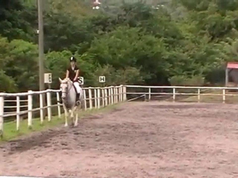 Dressage au Diamant - 14 Novembre