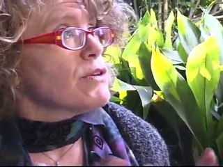 Hey Cisco! What is EOS? - Future of Film Summit