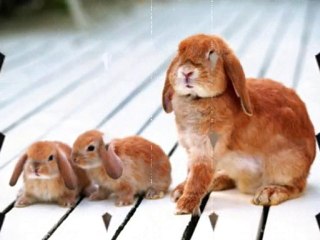 Yaşar İNAN Anneler Günü slayt