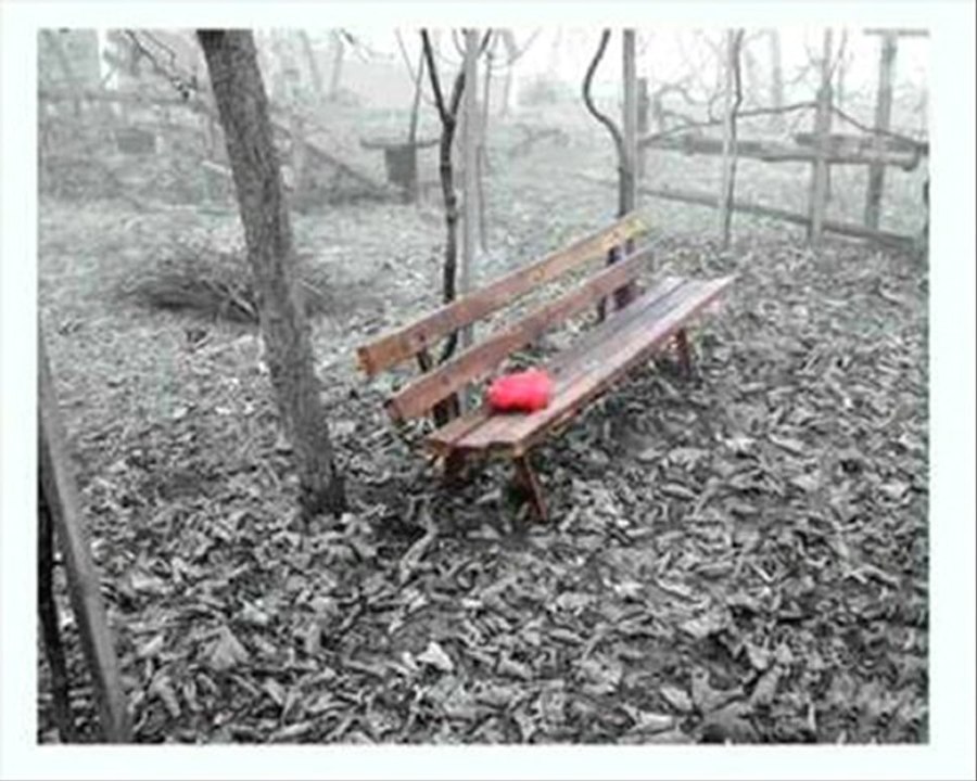 Fikret Kızılok Gönül