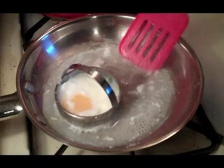 Poached Egg with Scallops