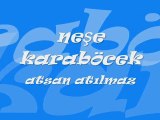 Neşe Karaböcek-Atsan Atılmaz Satsan Satılmaz