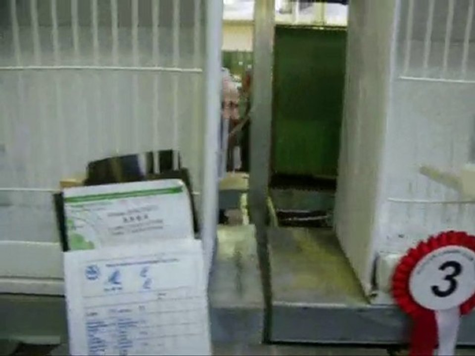 05-MELANİN KULA KABAKLAR | CLUP SHOW 2010