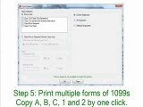 ezW2 2010 - Filing Forms W-2 and 1099