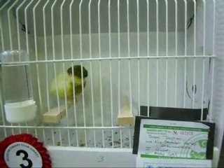 14-LİPOGROM AHRAÇ TEPELİ ERKEKLER | CLUP SHOW 2010