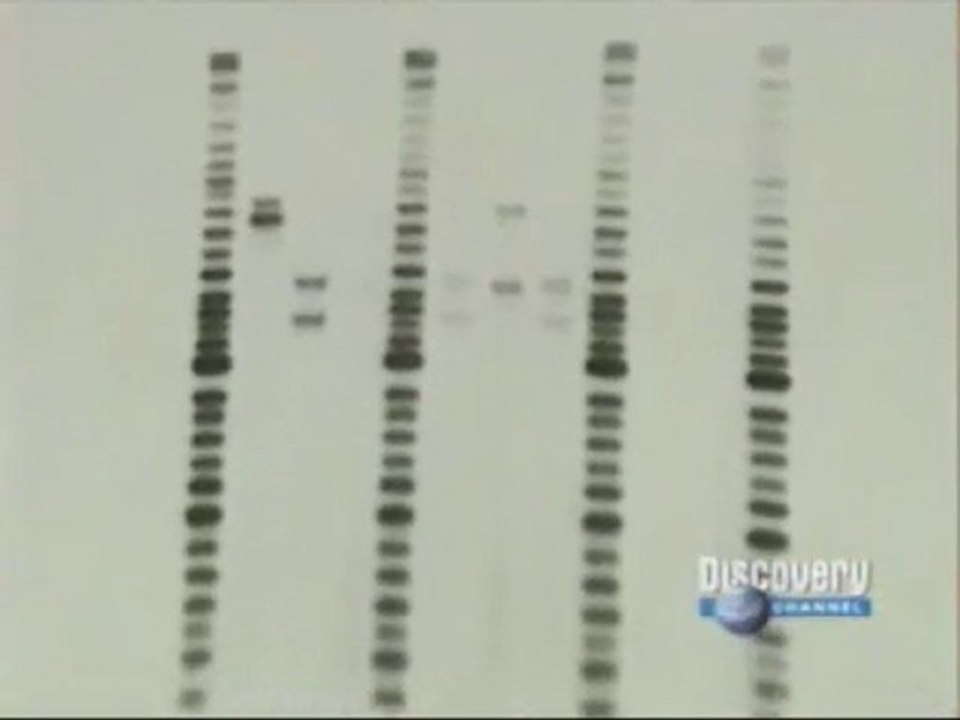 ADN: Genetica forense