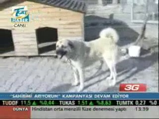 TGRT Haber Hayvan Rehabilitasyon Merkezi video