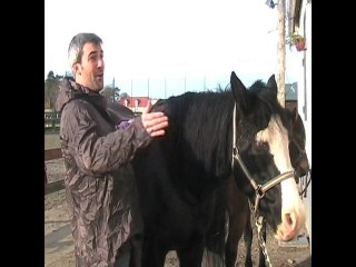 L'Impro 2.0 vu par Laurent Gerra