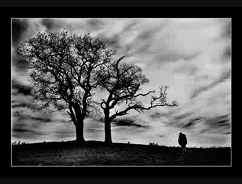 ZİGON SEHPA-Bedirhan Gökçe