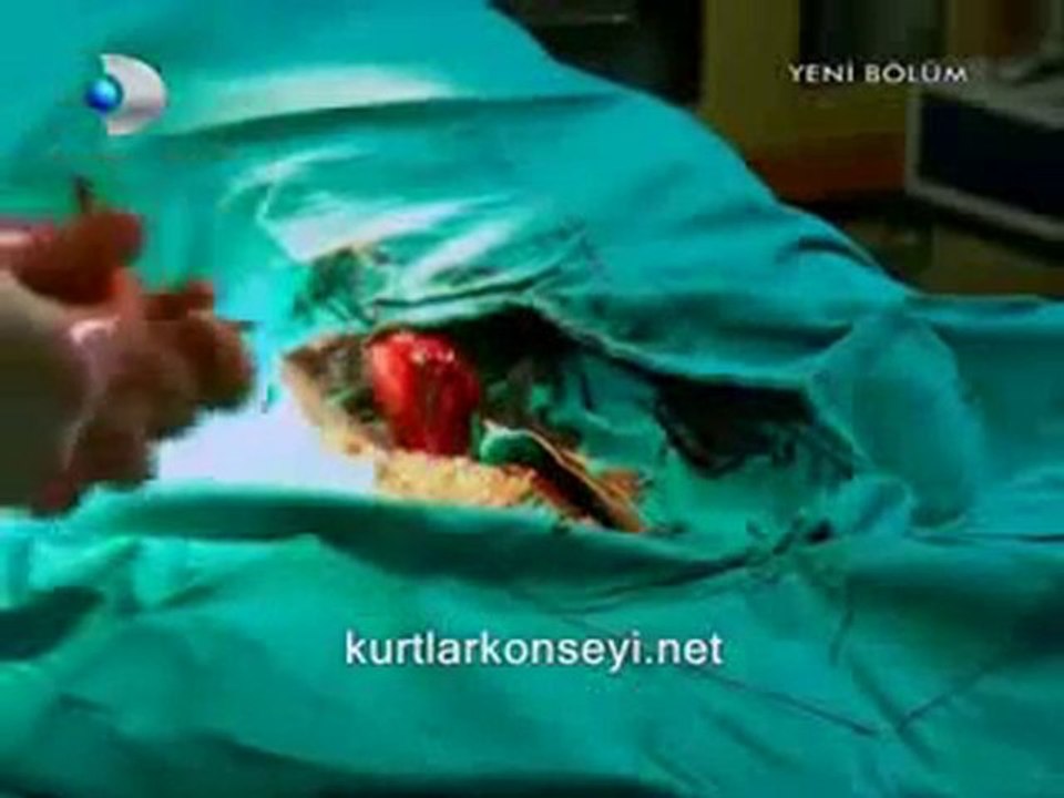 BİR FIRTINA TUTTU BİZİ