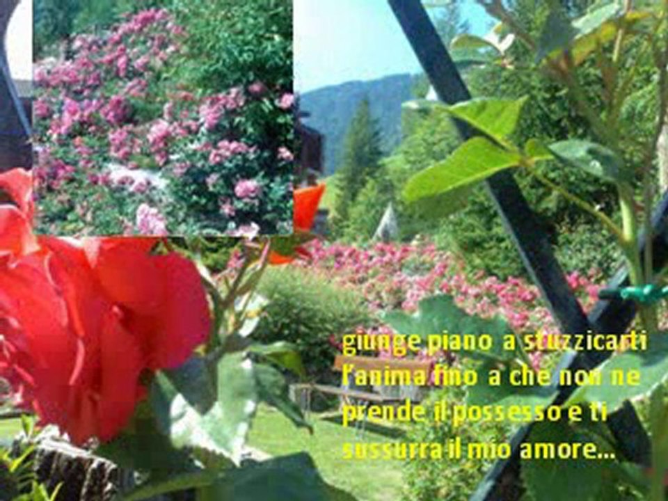 roseto