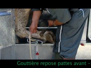 Cage de contention et de pesage PM 2400