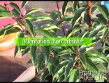 Promesse de fleurs - Conseil pour planter un arbuste
