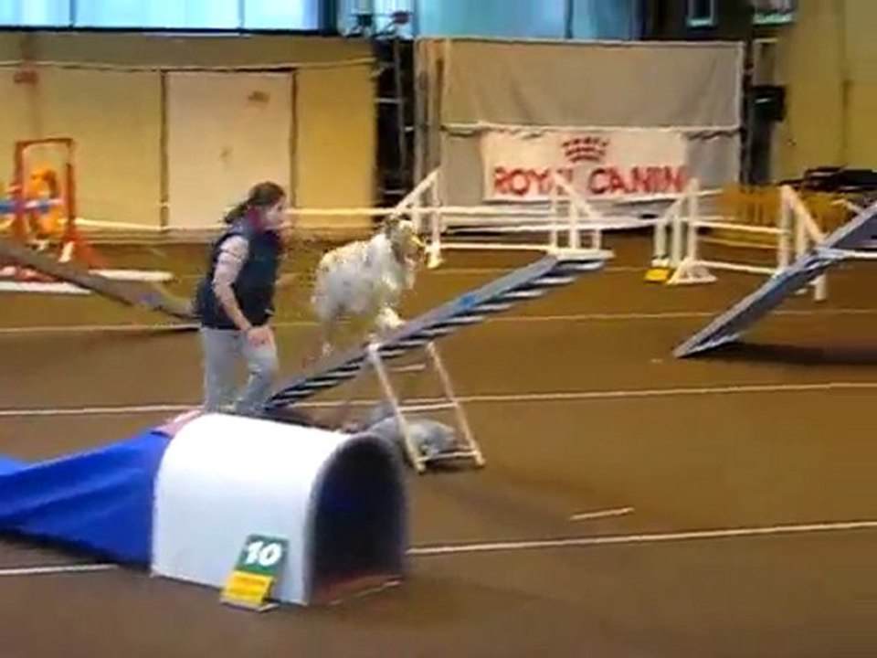 severine AGILITY LALANDES 2010 cheyenne