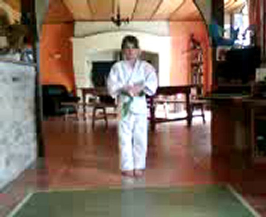 kata pinan sandan (EMMA 2008)