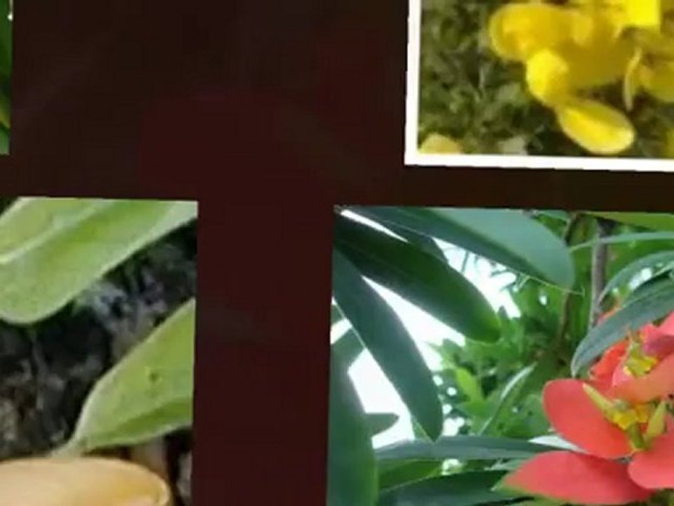 prueba 1