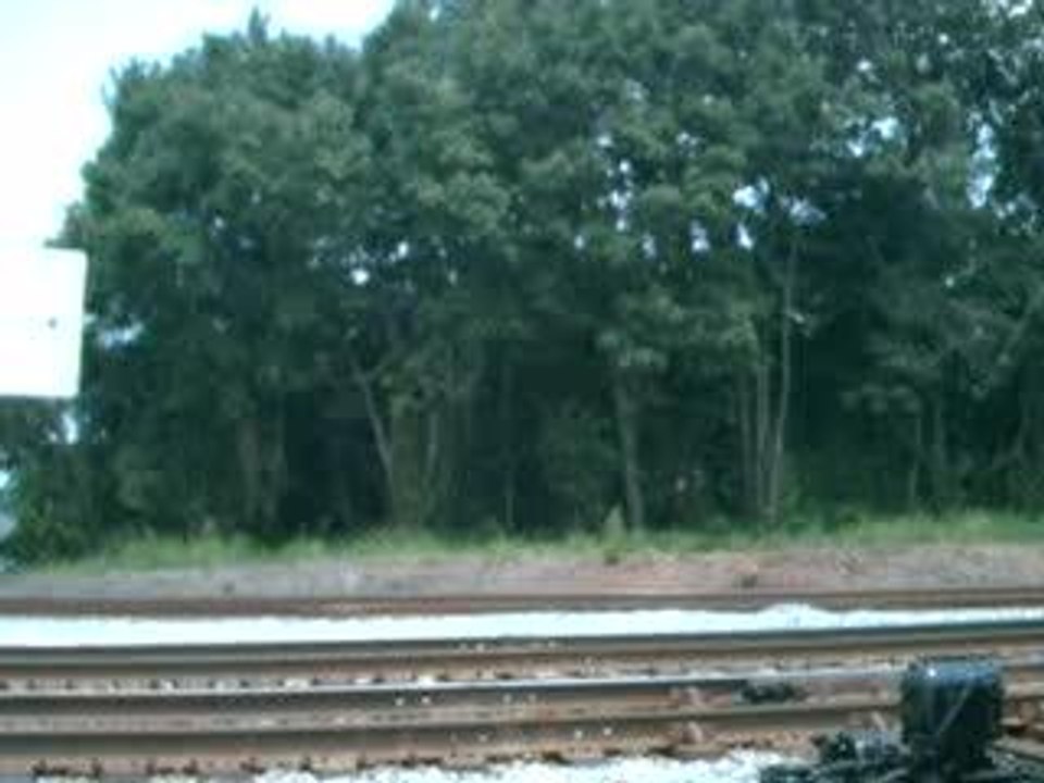 BNSF Has NS #119
