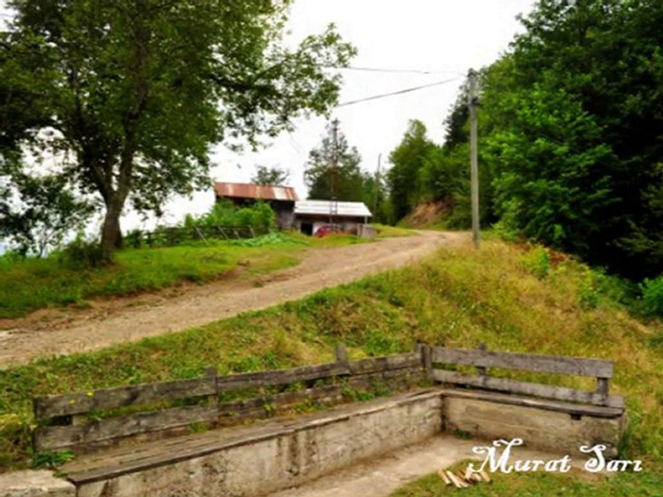 BİZUM ORALAR AH ORALAR