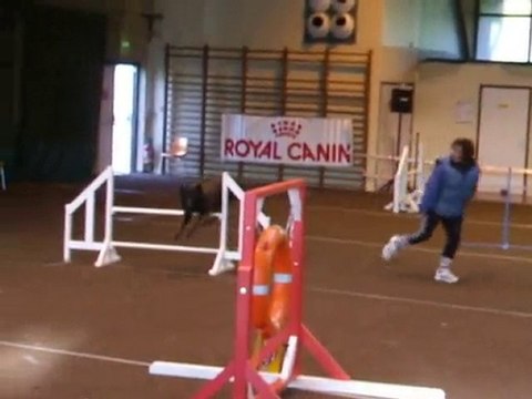 Despe 1er degrè Lalande 2010