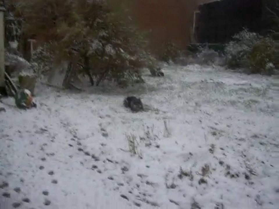 Zoé & la Neige