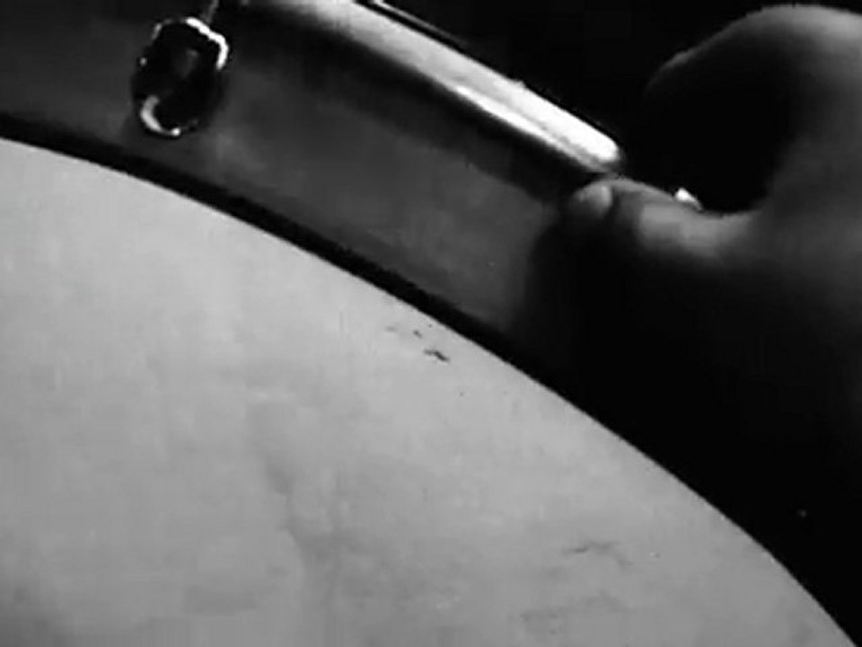 Elveda Meyhaneci /Aynur Haşhaş