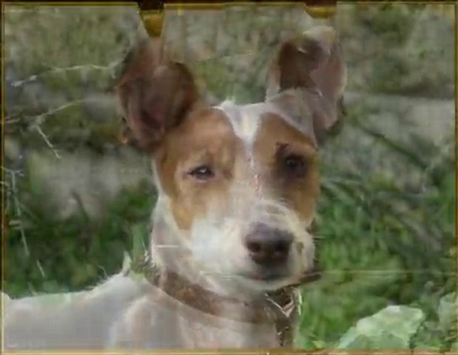 morphing Abbesse&Dayana