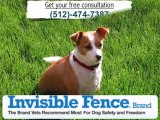 Invisible fence reviews Houston