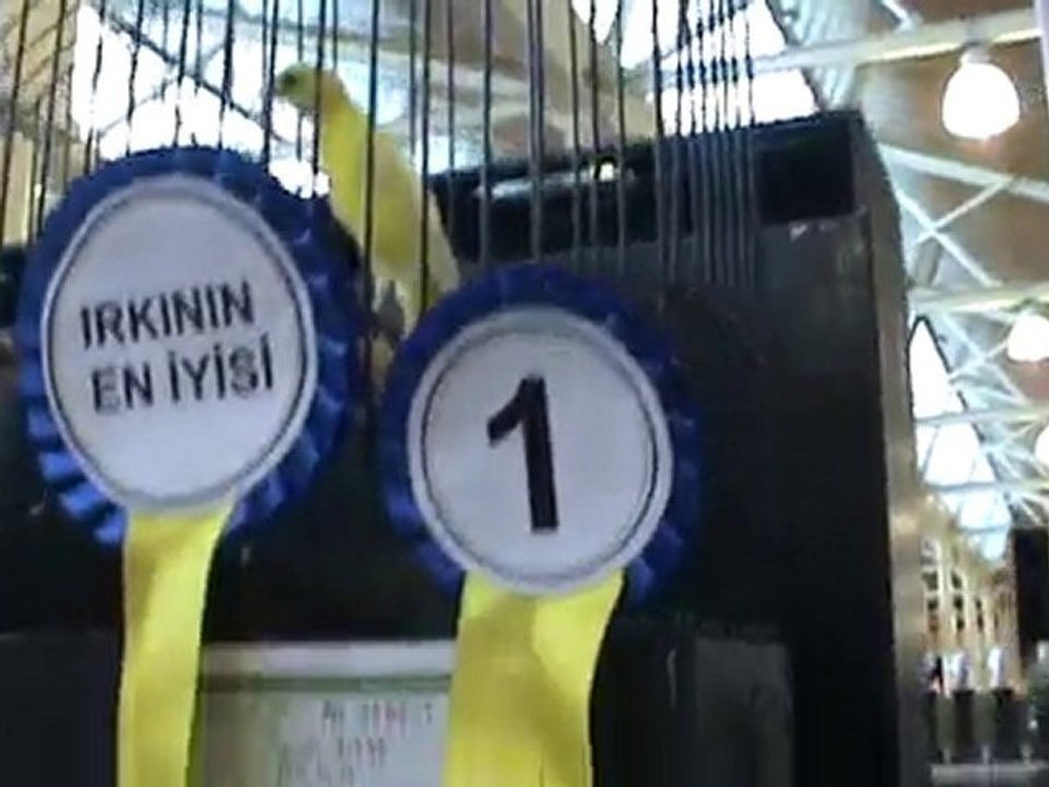 1.feshane ınternatıonal exıbıtıon centre ıstanbul 2