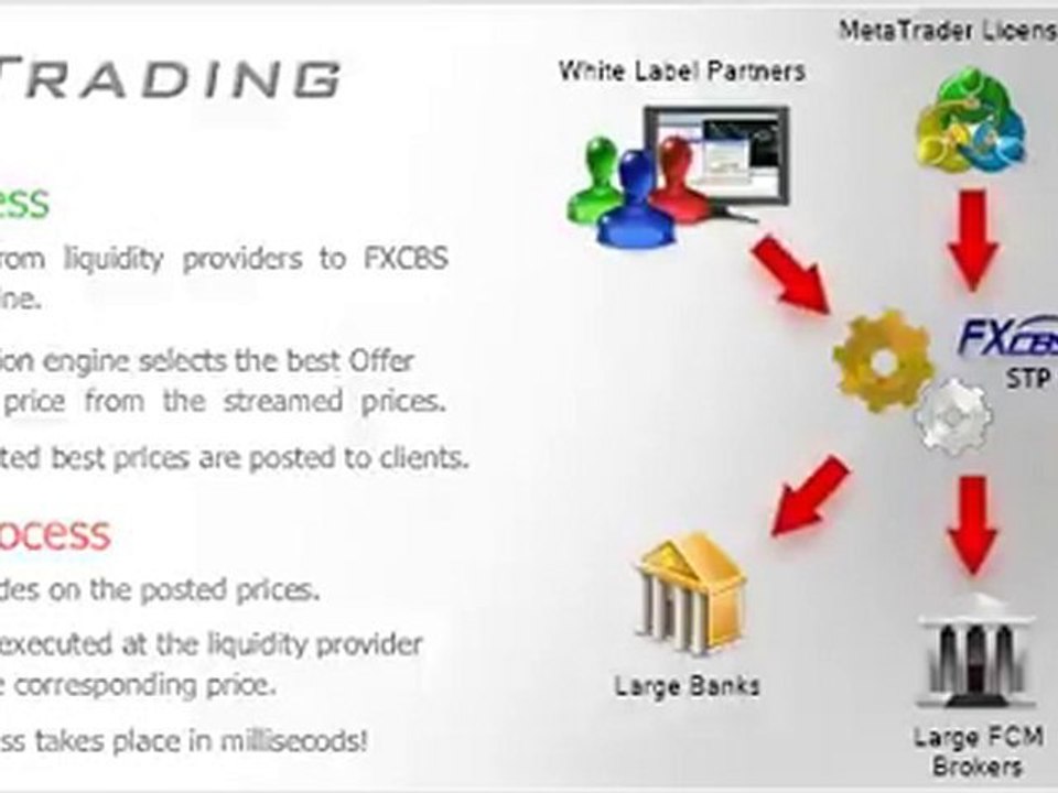 ECN Forex Trading