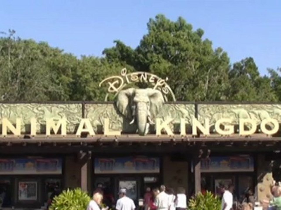 DISNEY WORLD ANIMAL KINGDOM