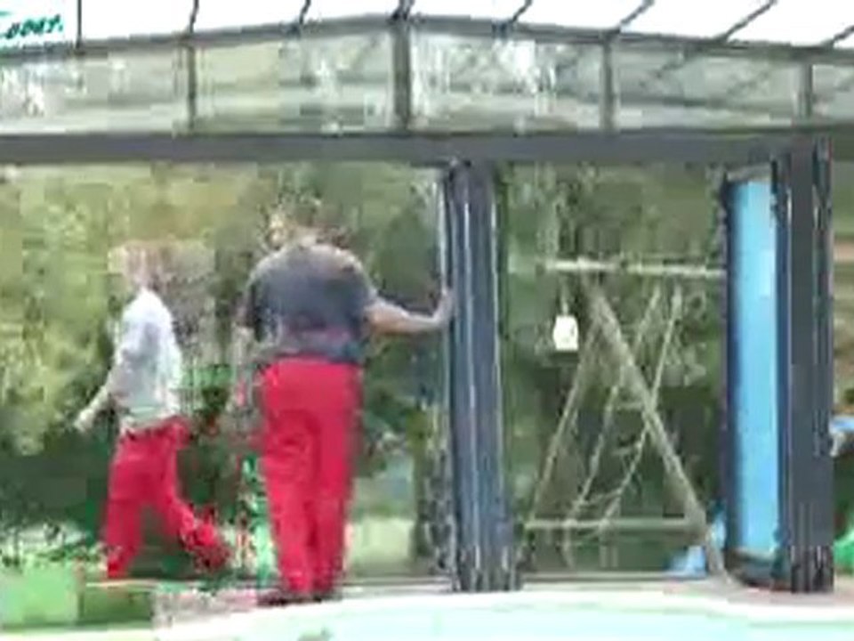 Abris Piscines Pool Cover | Fabricant Abris de Piscines Haut