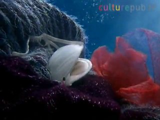 Dans ma machine à laver !